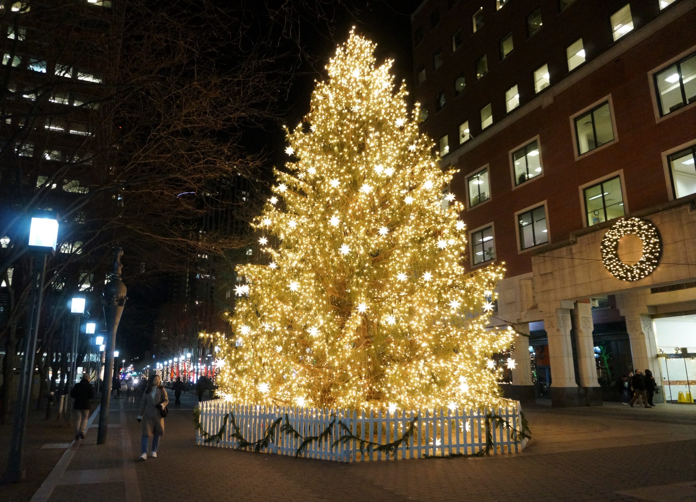 New York Cliché of the Day The Largest Christmas Tree In Brooklyn