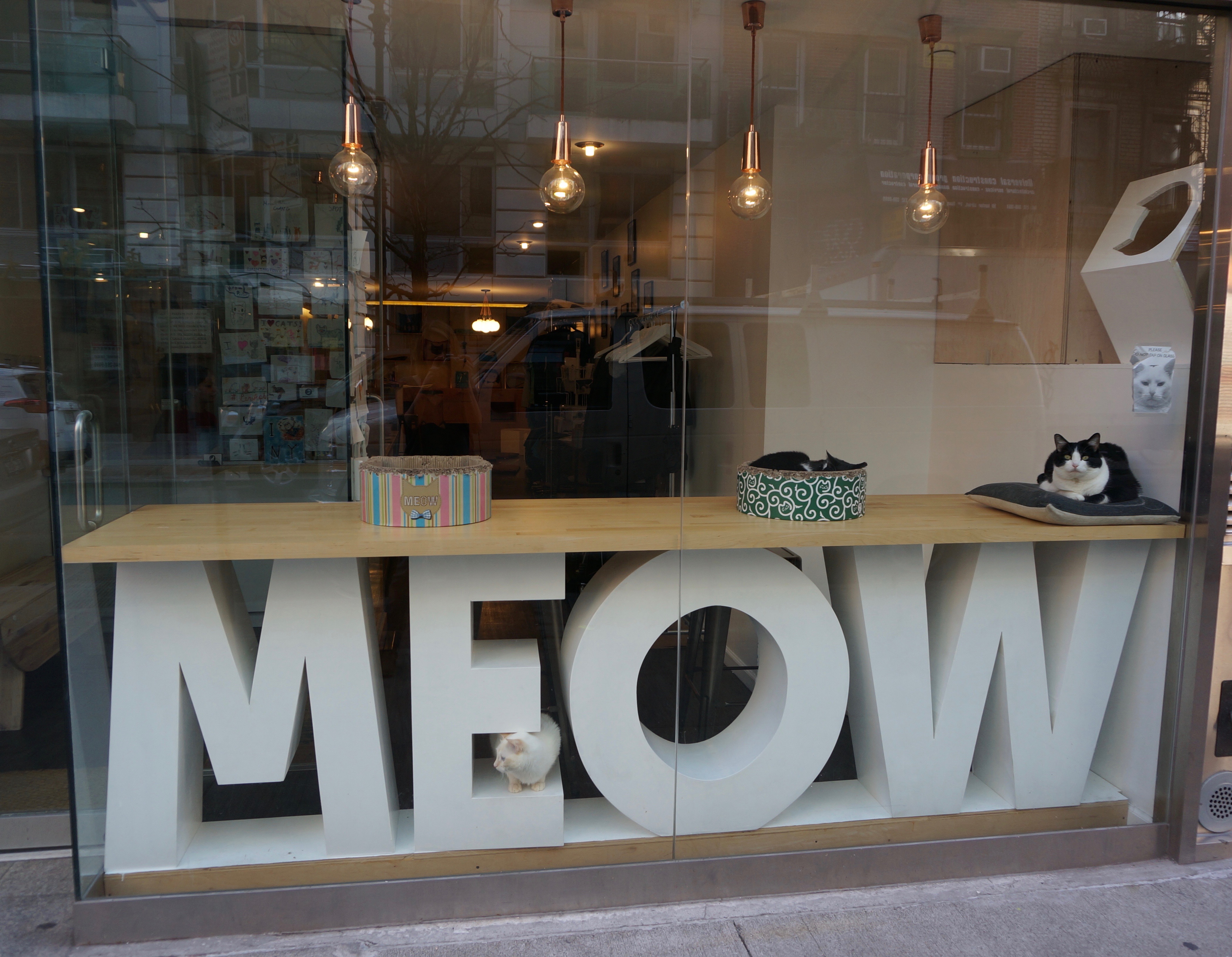 Meow Parlour Visit A Cat Cafe in New York City New York Cliché