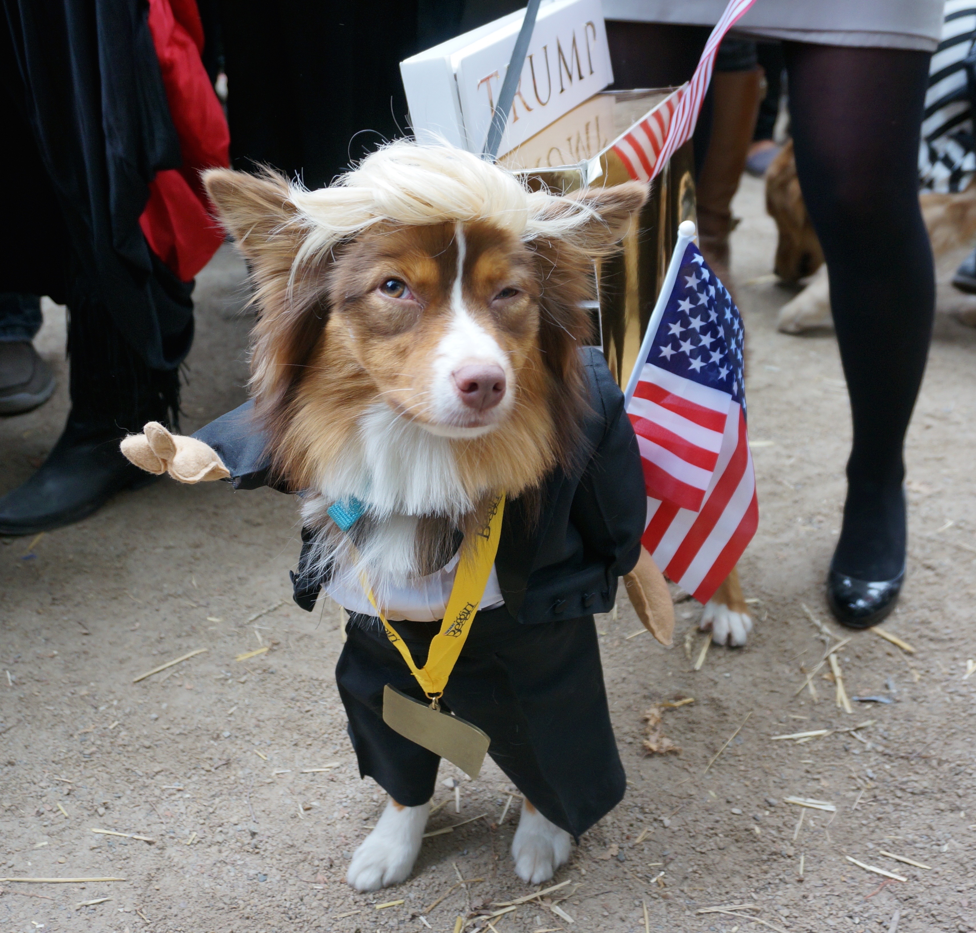 Election Night Freak Out: Cute Bitches Dressed as Trump! - New York Cliché