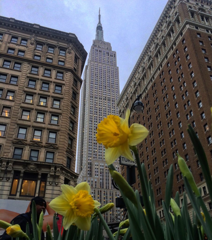 Stop and Snap the Roses: I'm Obsessed with NYC Spring Flowers - New ...